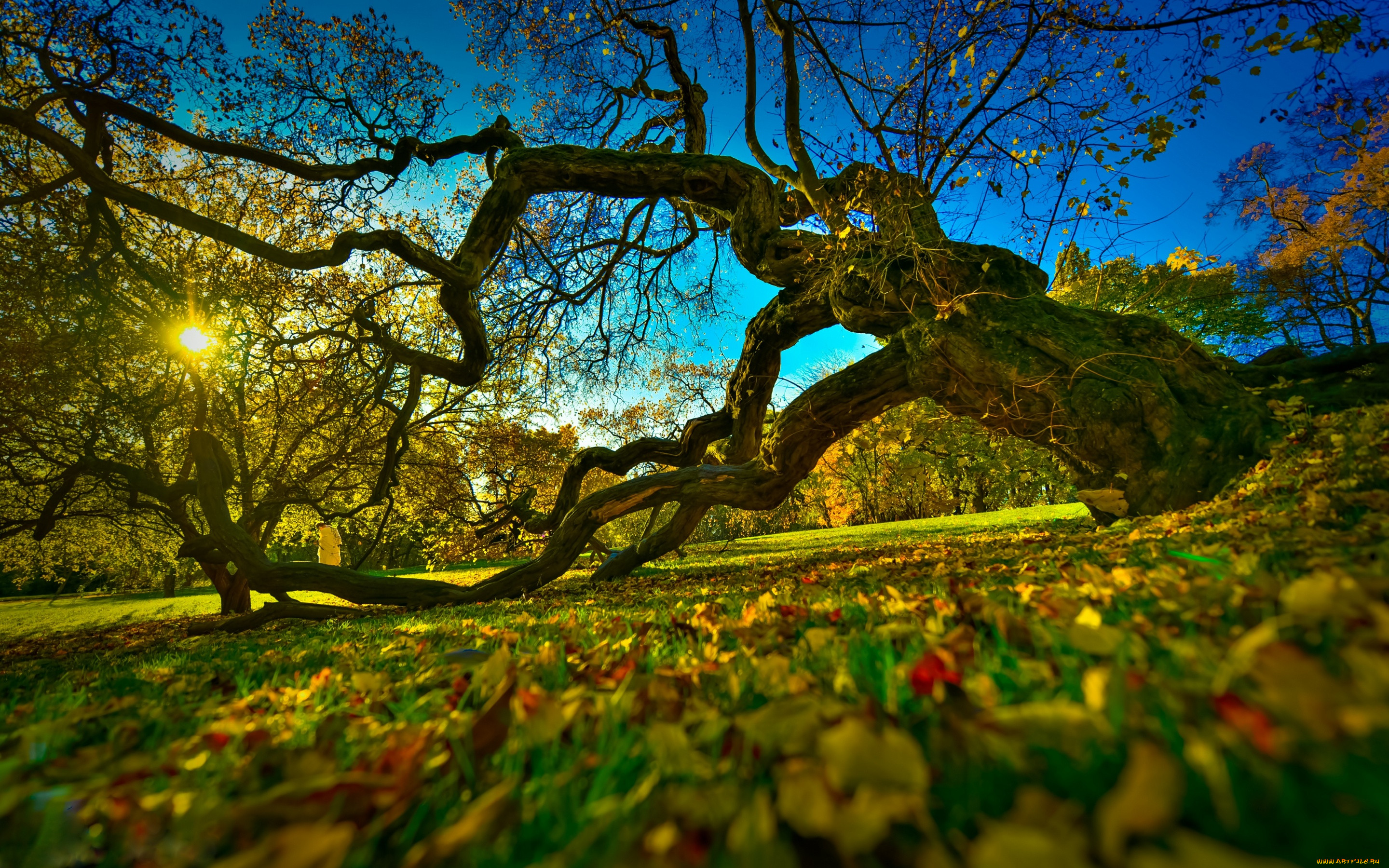 , , oslo, , , , , , , , norway, 